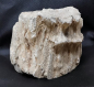 Preview: Versteinertes Holz Indonesien